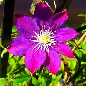 Meet your Posher, Belinda